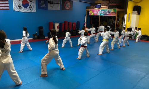 Martial Arts Programs kids