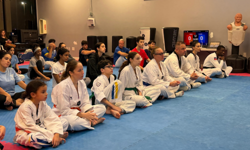 Adult martial arts training and self-defense sessions